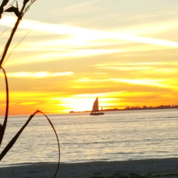 Meet your Posher, Monica - Picture 1 of 1